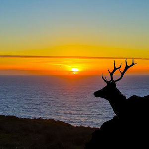 Meet your Posher, Kiptyn